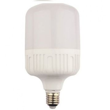 Bioled 20 W Torch Ampül