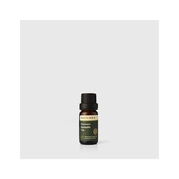 Bioterra 10 ml Aynısafa Yağı