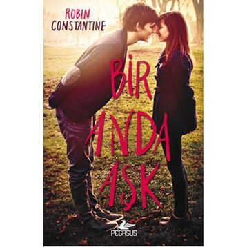 Bir Anda Aşk - Robin Constantine