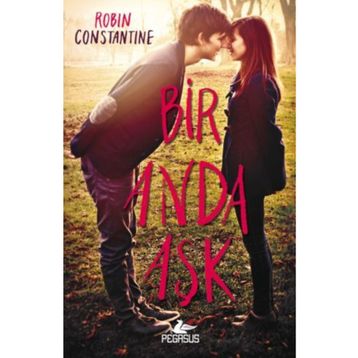 Bir Anda Aşk - Robin Constantine