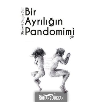 Bir Ayrılığın Pandomimi - Mehmet Sezgin Sarı