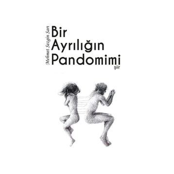 Bir Ayrılığın Pandomimi - Mehmet Sezgin Sarı