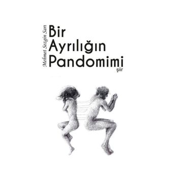 Bir Ayrılığın Pandomimi - Mehmet Sezgin Sarı