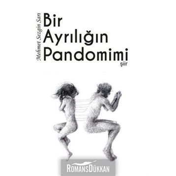 Bir Ayrılığın Pandomimi - Mehmet Sezgin Sarı