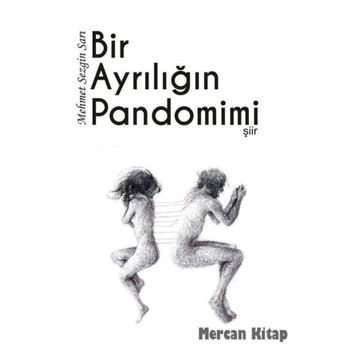 Bir Ayrılığın Pandomimi - Mehmet Sezgin Sarı