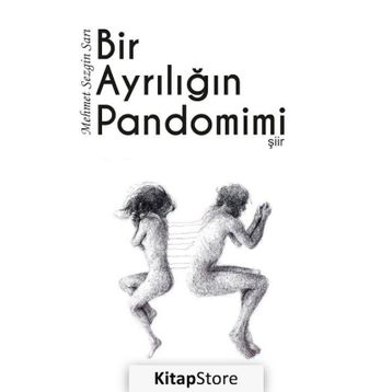 Bir Ayrılığın Pandomimi - Mehmet Sezgin Sarı