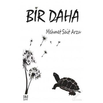 Bir Daha - Mehmet Sait Arzu