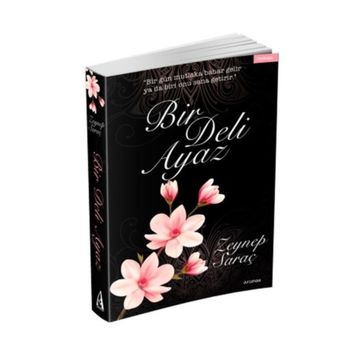 Bir Deli Ayaz - Zeynep Saraç