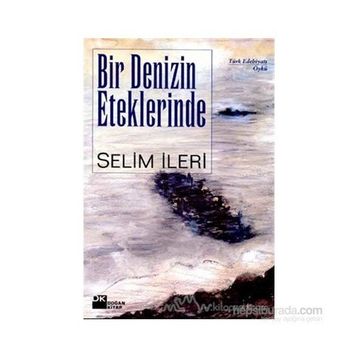 BIR DENIZIN ETEKLERINDE - SELIM İLERİ