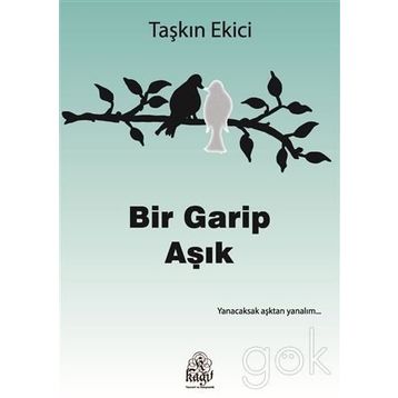 Bir Garip Aşık - Taşkın Ekici