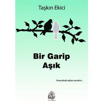 Bir Garip Aşık - Taşkın Ekici