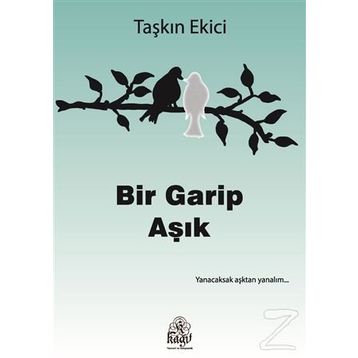 Bir Garip Aşık - Taşkın Ekici