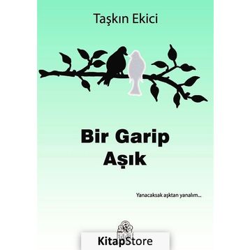 Bir Garip Aşık - Taşkın Ekici
