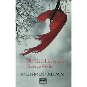 BIR GECELIK AŞKLAR NEREYE GIDER - MEHMET ALTAN