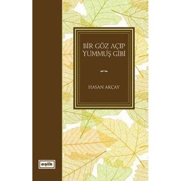 Bir Göz Açıp Yummuş Gibi - Hasan Akçay