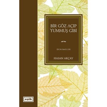 Bir Göz Açıp Yummuş Gibi - Hasan Akçay