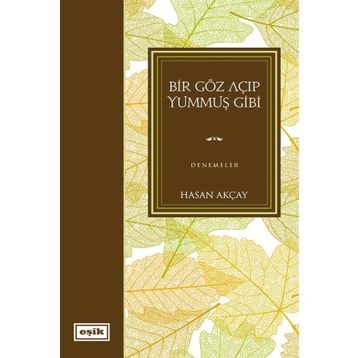 Bir Göz Açıp Yummuş Gibi - Hasan Akçay