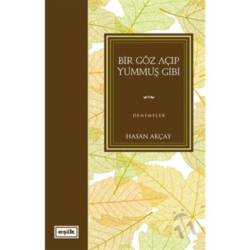 Bir Göz Açıp Yummuş Gibi - Hasan Akçay