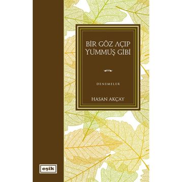 Bir Göz Açıp Yummuş Gibi - Hasan Akçay