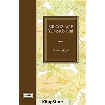Bir Göz Açıp Yummuş Gibi - Hasan Akçay