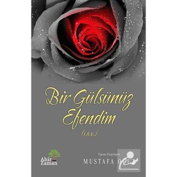 BIR GÜLSÜNÜZ EFENDIM - MUSTAFA OĞUZ