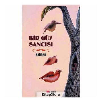 Bir Güz Sancıs - Salihan