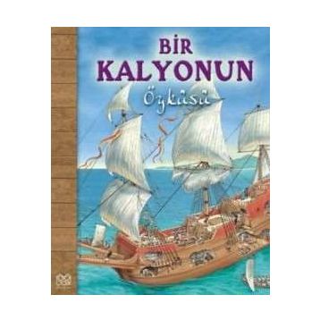 BIR KALYONUN ÖYKÜSÜ - NICHOLAS HARRIS