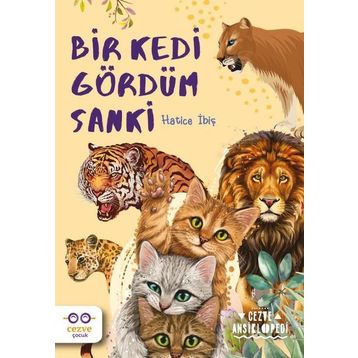 Bir Kedi Gördüm Sanki - Hatice İbiş
