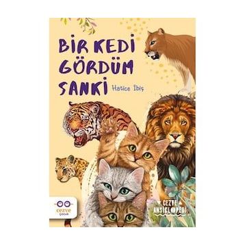 Bir Kedi Gördüm Sanki - Hatice İbiş