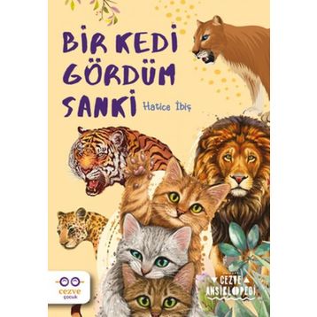 Bir Kedi Gördüm Sanki - Hatice İbiş