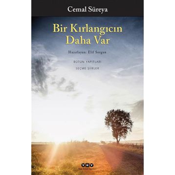 Bir Kırlangıcın Daha Var - Cemal Süreyya
