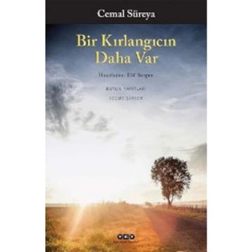 Bir Kırlangıcın Daha Var - Cemal Süreyya
