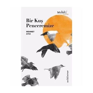 Bir Kuş Penceremize - Mehmet Aycı
