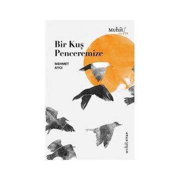 Bir Kuş Penceremize - Mehmet Aycı