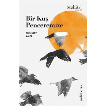 Bir Kuş Penceremize - Mehmet Aycı