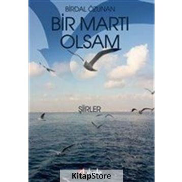 Bir Martı Olsam -Birdal Özunan