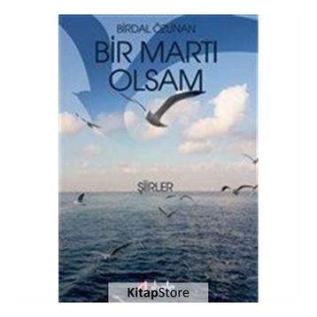 Bir Martı Olsam -Birdal Özunan