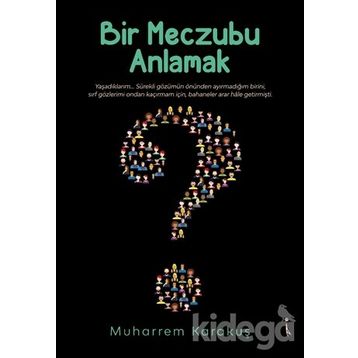 Bir Meczubu Anlamak - Muharrem Karakuş