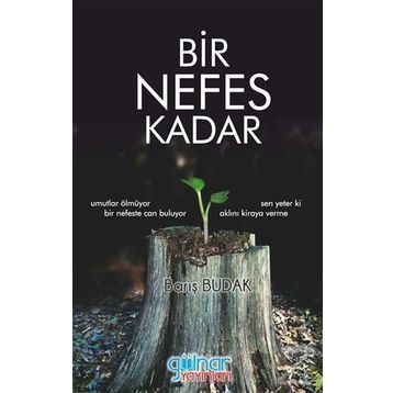 Bir Nefes Kadar - Barış Budak
