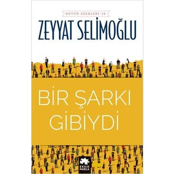 Bir Şarkı Gibiydi - Zeyyat Selimoğlu