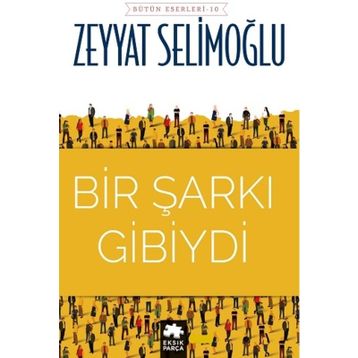 Bir Şarkı Gibiydi - Zeyyat Selimoğlu