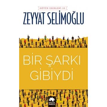 Bir Şarkı Gibiydi - Zeyyat Selimoğlu