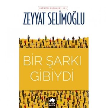 Bir Şarkı Gibiydi - Zeyyat Selimoğlu