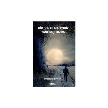 Bir Sen Olmalıydın Yanı Başımızda - Mustafa Baysa