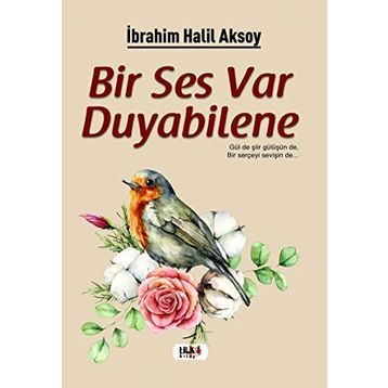 Bir Ses Var Duyabilene - İbrahim Halil Aksoy