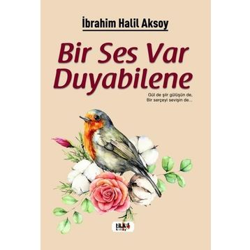 Bir Ses Var Duyabilene - İbrahim Halil Aksoy