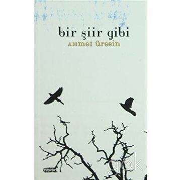 BIR ŞİİR GIBI - AHMET ÜRESİN