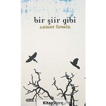 BIR ŞİİR GIBI - AHMET ÜRESİN