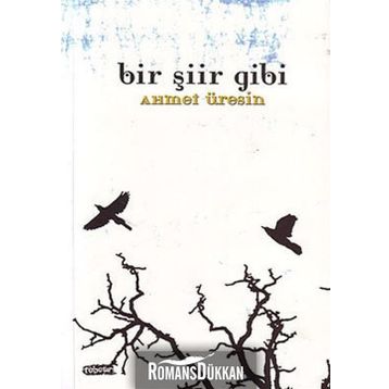 BIR ŞİİR GIBI - AHMET ÜRESİN