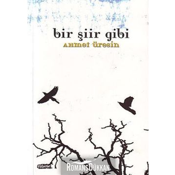 BIR ŞİİR GIBI - AHMET ÜRESİN